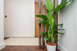 Photo 26- click for photo gallery